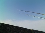 KC3A0014.jpg